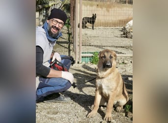 Afrodita - freundlich, zutraulich und lernwillig