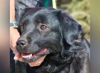 Sila, neugierig, freundlich, lernwillig