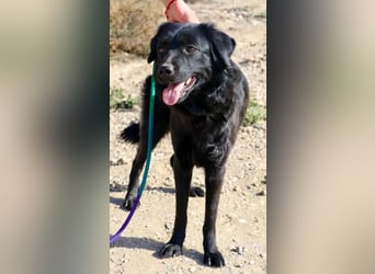 Sila, neugierig, freundlich, lernwillig