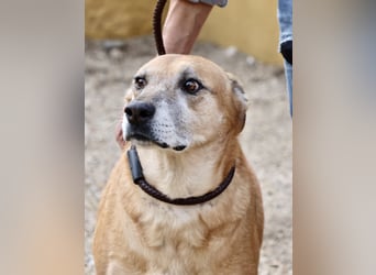 Hellen, sucht Altersruhesitz - NOTFALL -