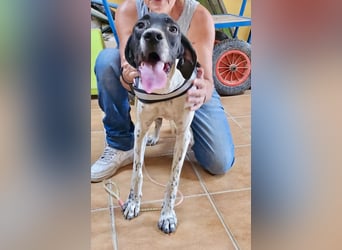 Mancha, freundlich, verschmust und neugierig