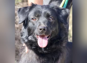 Sila, neugierig, freundlich, lernwillig