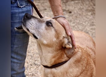Hellen, sucht Altersruhesitz - NOTFALL -
