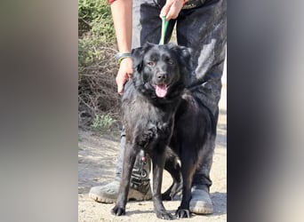 Sila, neugierig, freundlich, lernwillig