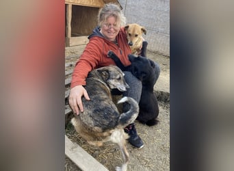 Sirius - ruhig und freundlich