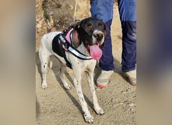 Mancha, freundlich, verschmust und neugierig