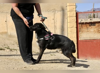 Gia - lässt sich gerne anfassen, freundlich und aufmerksam