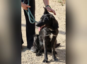 Gia - lässt sich gerne anfassen, freundlich und aufmerksam