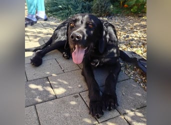 Capko – schwarz, hübsch und einfach nur toll………….