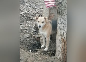 Lupita - eine sanfte Seele sucht ihr spätes Glück