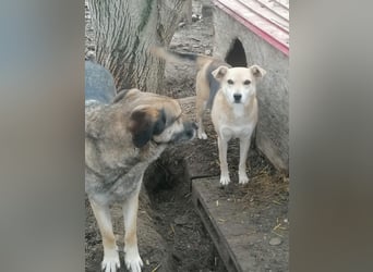 Lupita - eine sanfte Seele sucht ihr spätes Glück