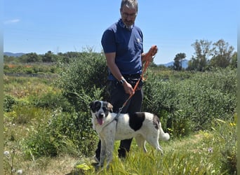 Cassian: er liebt spielen und kuscheln