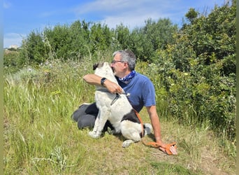 Cassian: er liebt spielen und kuscheln