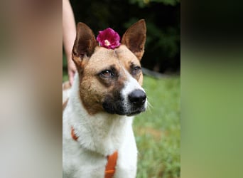 Verschmuste Jenny sucht ihre Familie