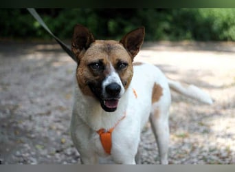 Verschmuste Jenny sucht ihre Familie