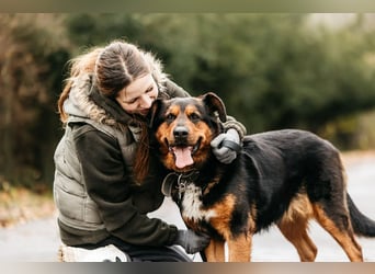 Sanfte Bonya sucht liebevolles Zuhause