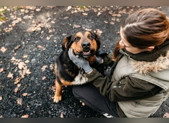 Sanfte Bonya sucht liebevolles Zuhause