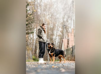 Sanfte Bonya sucht liebevolles Zuhause