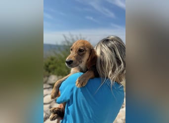 Aimi möchte Teil eurer Familie werden