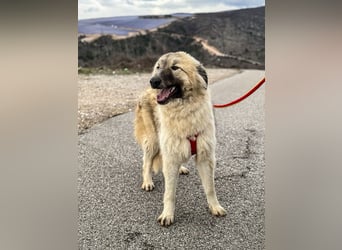 Liesa sucht ihr großes Glück