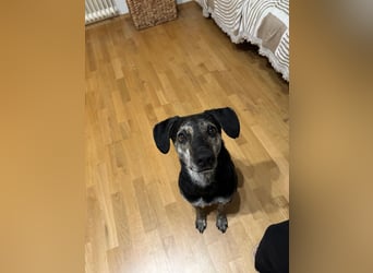 Nocino wartet in München