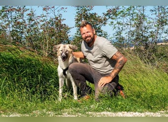 Liesa sucht ihr großes Glück