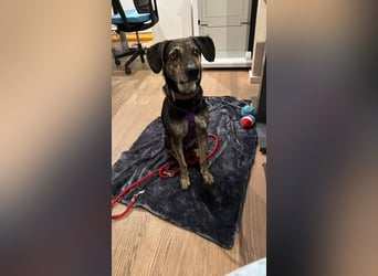 Nocino wartet in München