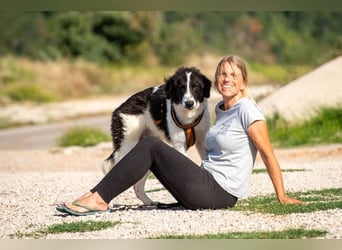 Morrisson sucht sein großes Glück