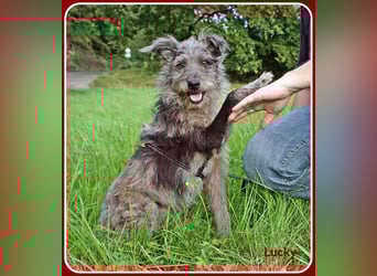 ❤️ Lucky: unser Clown auf vier Pfoten