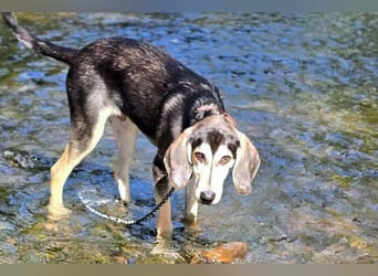 Emanuele warte auf Dich!