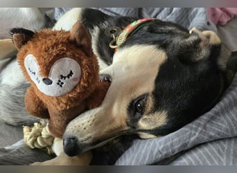 Emanuele warte auf Dich!