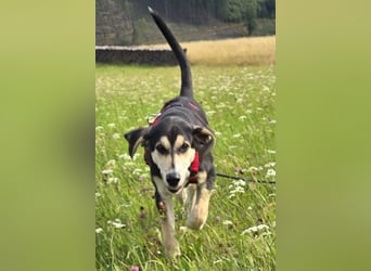 Emanuele warte auf Dich!