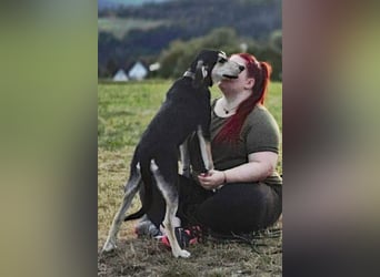 Emanuele warte auf Dich!