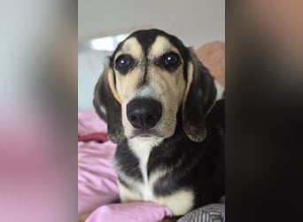 Emanuele warte auf Dich!