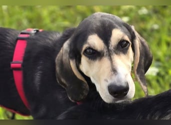 Emanuele warte auf Dich!