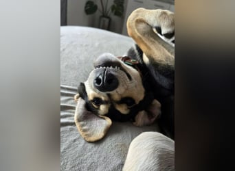 Emanuele warte auf Dich!