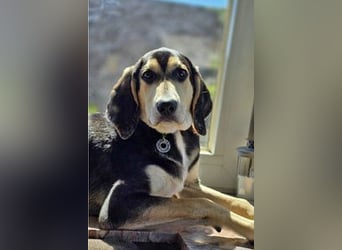 Emanuele warte auf Dich!