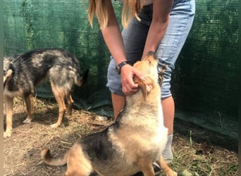 IM SCHNEE FAST ERFROREN ++ HERZENSWÄRME GESUCHT FÜR ZARA