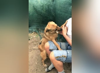 IM SCHNEE FAST ERFROREN ++ HERZENSWÄRME GESUCHT FÜR ZARA