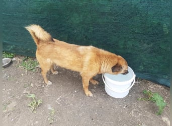 IM SCHNEE FAST ERFROREN ++ HERZENSWÄRME GESUCHT FÜR ZARA