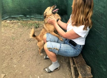 IM SCHNEE FAST ERFROREN ++ HERZENSWÄRME GESUCHT FÜR ZARA