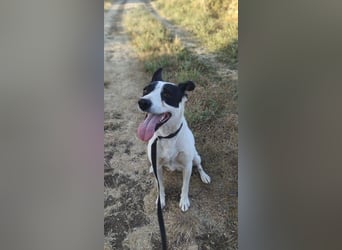 Elsa ❤️ zarte Seele auf der Suche nach ihrem Platz im Leben