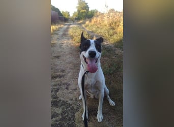 Elsa ❤️ zarte Seele auf der Suche nach ihrem Platz im Leben