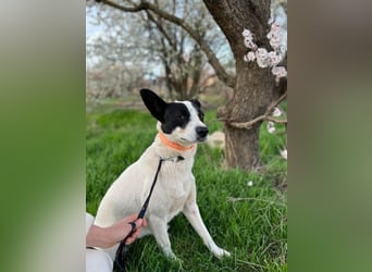 Elsa ❤️ zarte Seele auf der Suche nach ihrem Platz im Leben