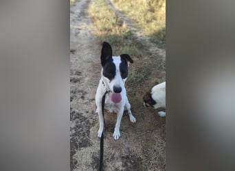 Elsa ❤️ zarte Seele auf der Suche nach ihrem Platz im Leben