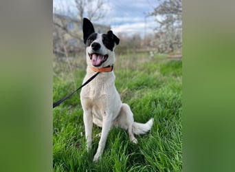 Elsa ❤️ zarte Seele auf der Suche nach ihrem Platz im Leben