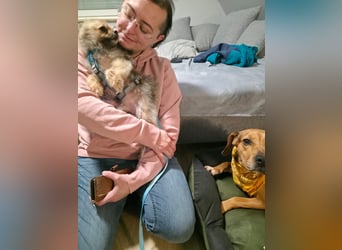 Ängstliche, zurückhaltende Mathilda sucht dringend eine neue Pflegestelle