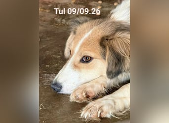 Hübsche Stella sucht ihr Glück 