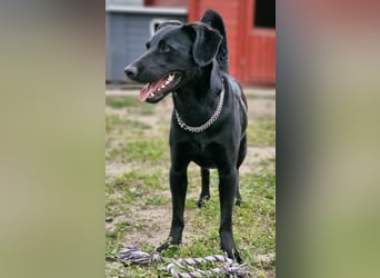 Zora braucht Menschen mit Geduld und Verständnis