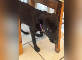 Nova sucht ihr Glück